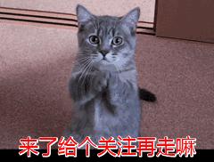 微商加盟是真的吗,微商要加盟费正常吗