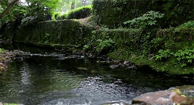 灵隐民宿云溪涧度假别院,灵隐边上最好民宿