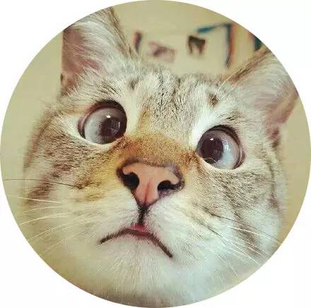 中国风盘扣裙冬搭配裤子,复古连衣裙裙裤搭配