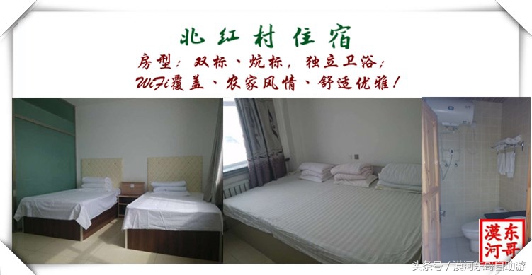 漠河市旅游包车攻略,漠河旅游包车哪里最便宜