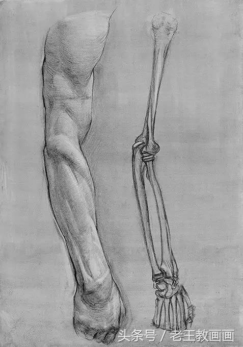 教100个零基础小白画画,100个适合零基础学习的画画教程