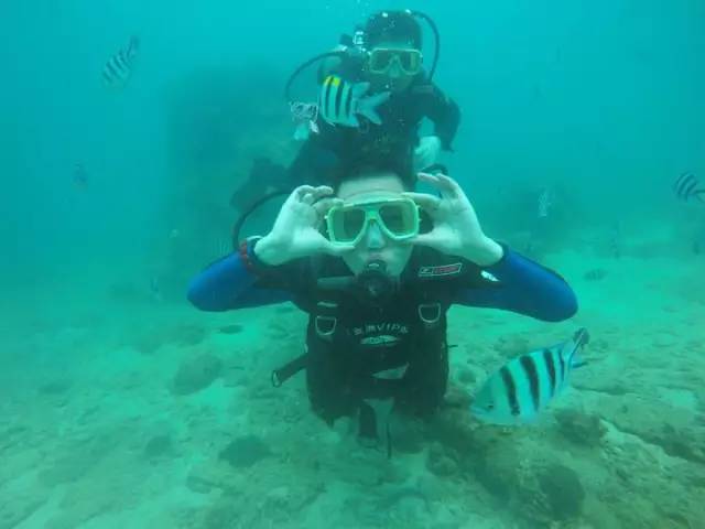 三亚潜水避坑攻略,三亚潜水新技巧