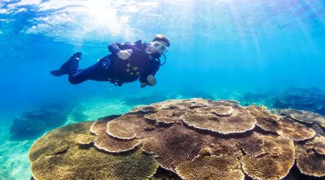 三亚潜水攻略大全,三亚怎么才能自由潜水