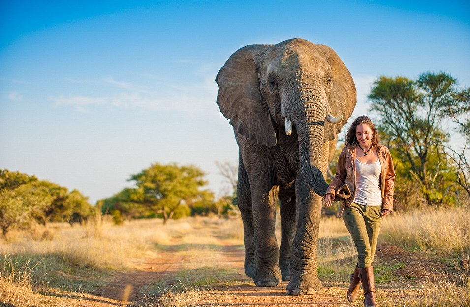 化妆必学英语,骨灰级别化妆