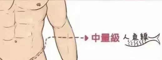 人鱼线等级划分标准,人鱼线是上下半身分界线吗