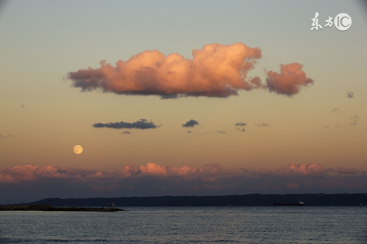 七年级上册英语1-9单元语法知识,初一英语上册重点语法归纳人教版