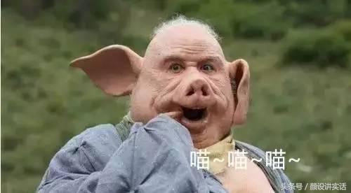 猫咪割双眼皮对比图,猫咪割双眼皮后对比