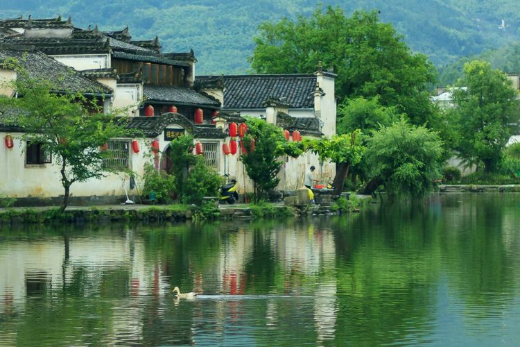 发现一个世外桃源的地方真美,有一处叫世外桃源的地方