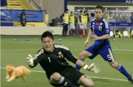 足球的ps搞笑图,足球恶搞ps