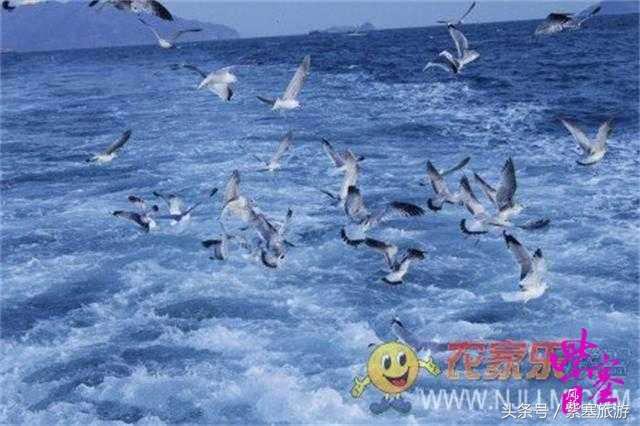 大钦岛渔家乐旅游攻略,紫塞北京农家乐