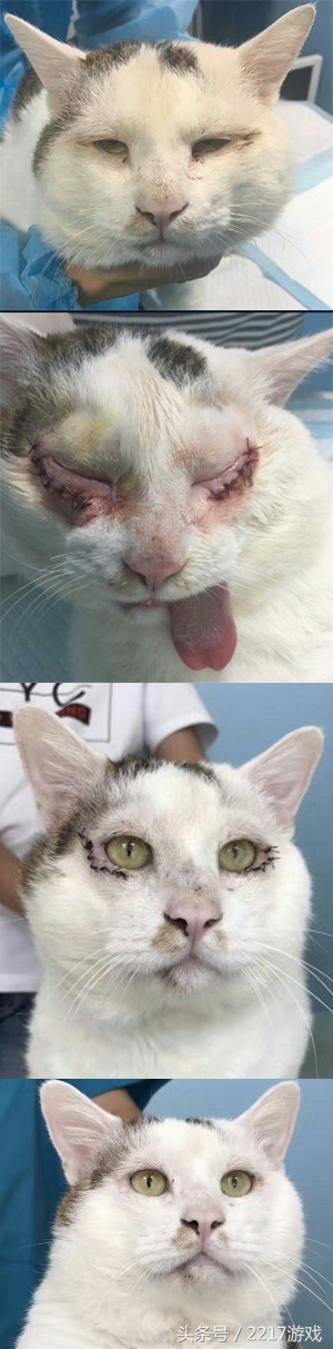 绝对要保密的私房照，女神原来还有这样的黑历史！