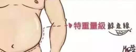 人鱼线等级划分图解,人鱼线等级对照表