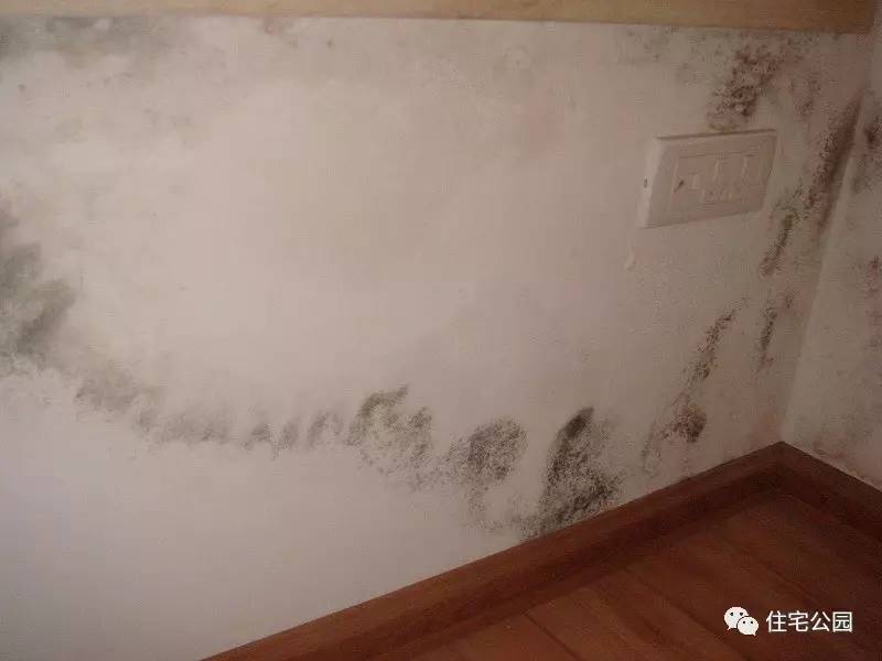 墙体发霉漏水起皮怎么办,墙体发霉返潮的原因