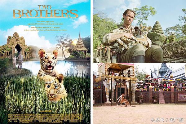 小学益智电影,小学必看电影推荐十部经典