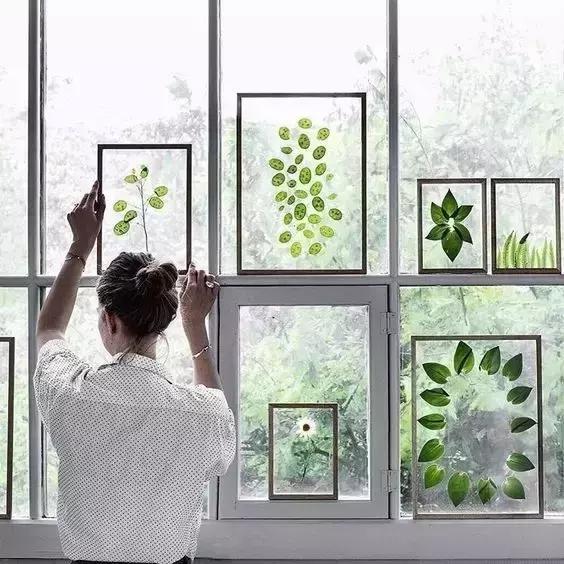 diy干花教程5朵,自己动手diy的干花