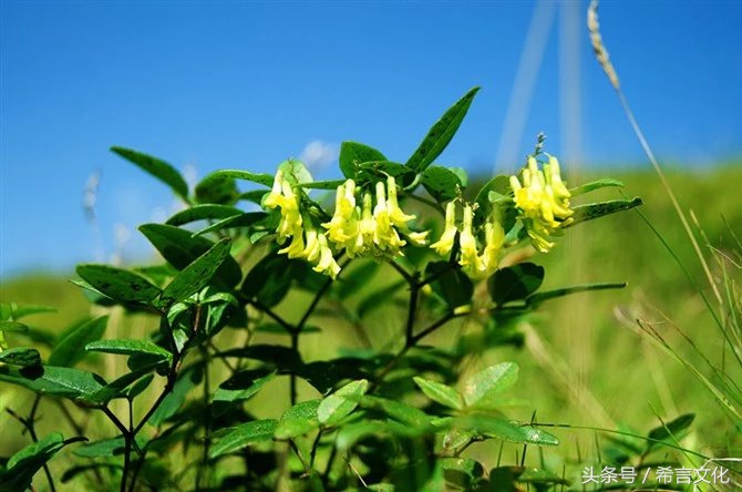 回忆逝去的80年代,怀念美好时光的回忆