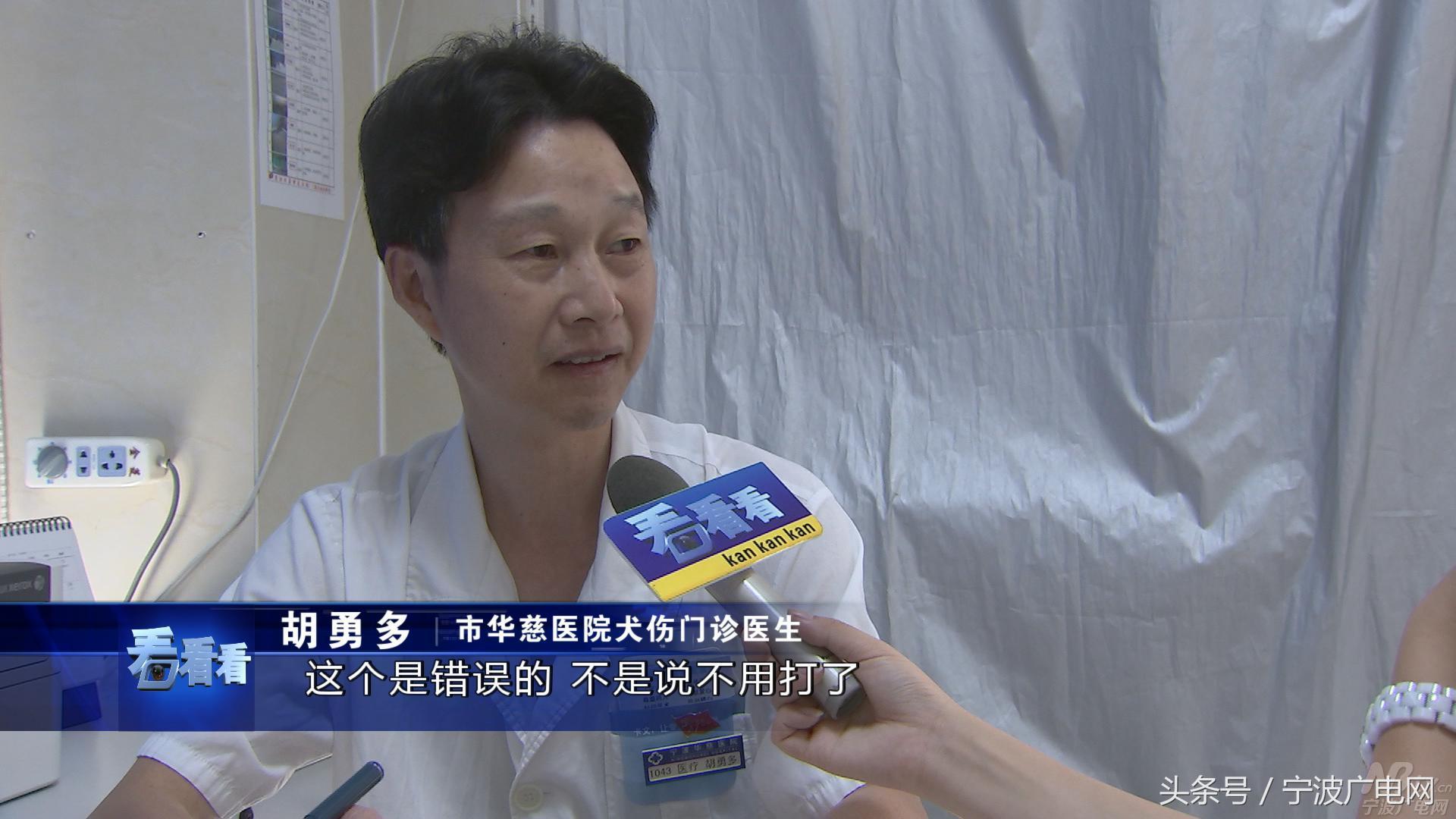 高温天谨防宠物中暑,宁波24小时犬伤门诊