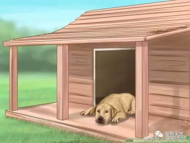 狗狗中暑引发心脏病怎么办,狗狗中暑后一直叫是怎么了