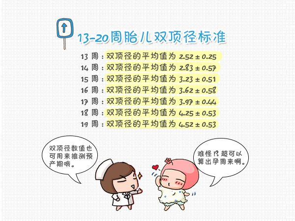 如何看胎儿双顶径,怎么看胎儿头围腹围股骨长