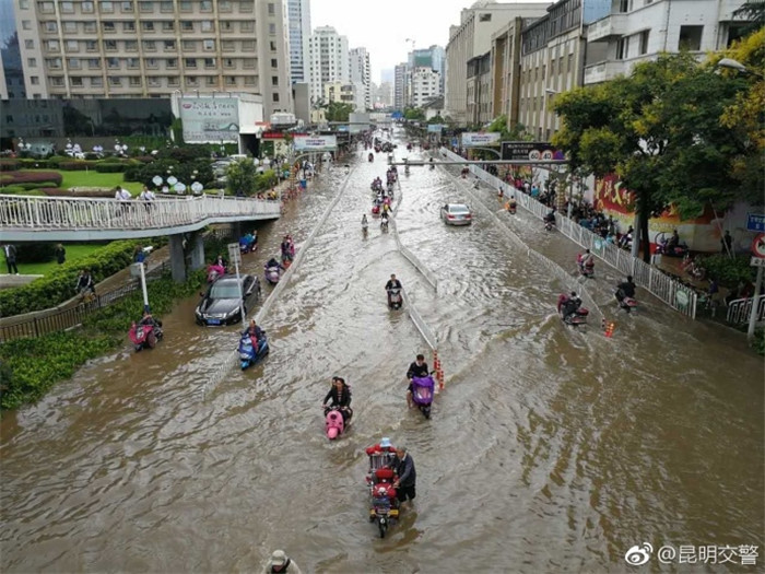 鏆撮洦琚煄韬奖瑙嗛,鏆撮洦琚煄杞﹁締琛屼汉瑙嗛