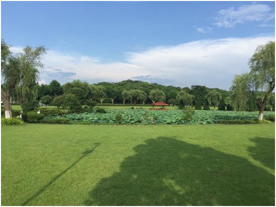 宜兴绿缘山庄度假酒店,宜兴绿缘山庄在什么地方