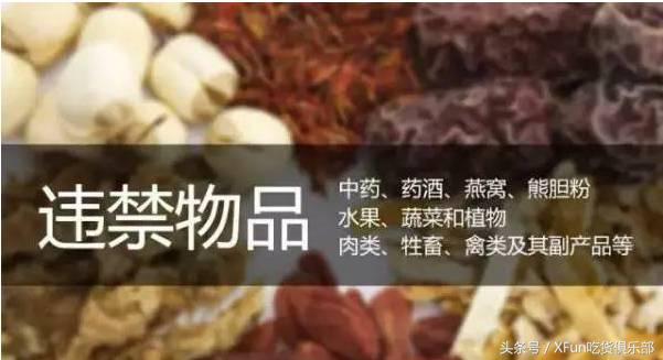 目前出国旅游会被遣返吗,如果去国外避免被遣返怎么回答