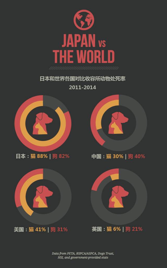捕杀流浪猫狗的国家,大量捕杀流浪猫犯法吗