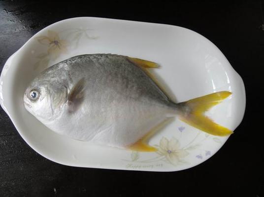 海鱼能人工饲养吗,海鱼可以自己养吗