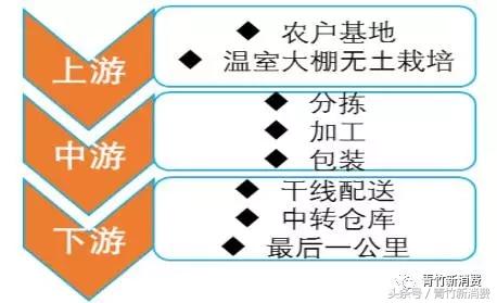 6亿资本作养料，鲜花市场究竟能开成什么样？