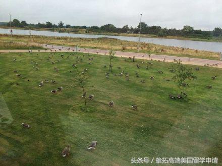 鑻卞浗绾﹀厠澶у瀹樼綉,鑻卞浗绾﹀厠澶у璇︾粏鍦板潃