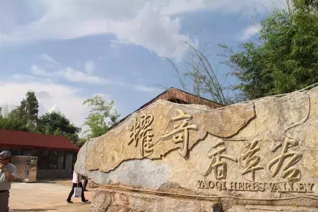 云南花海之行,云南花海基地旅游攻略