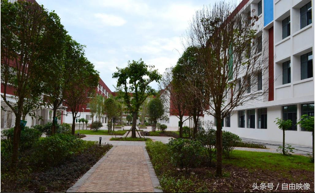 营山县西城实验学校有多少个班,营山西城实验学校航拍