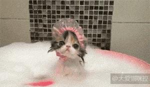 浜戝吇鐚殑鐥涚偣,浜戝吇鐚繃绋嬮亣鍒扮殑闅鹃