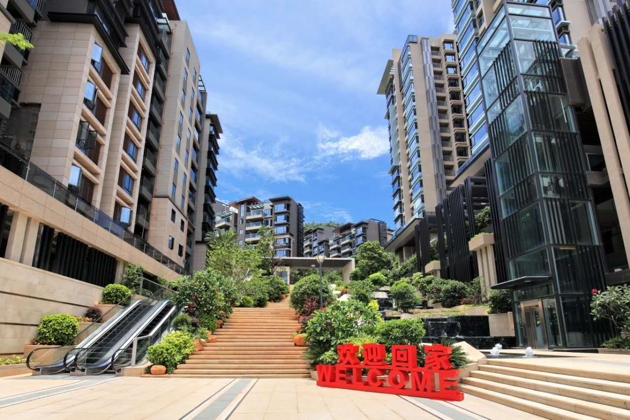 赤湾蛇口,赤湾在前海吗