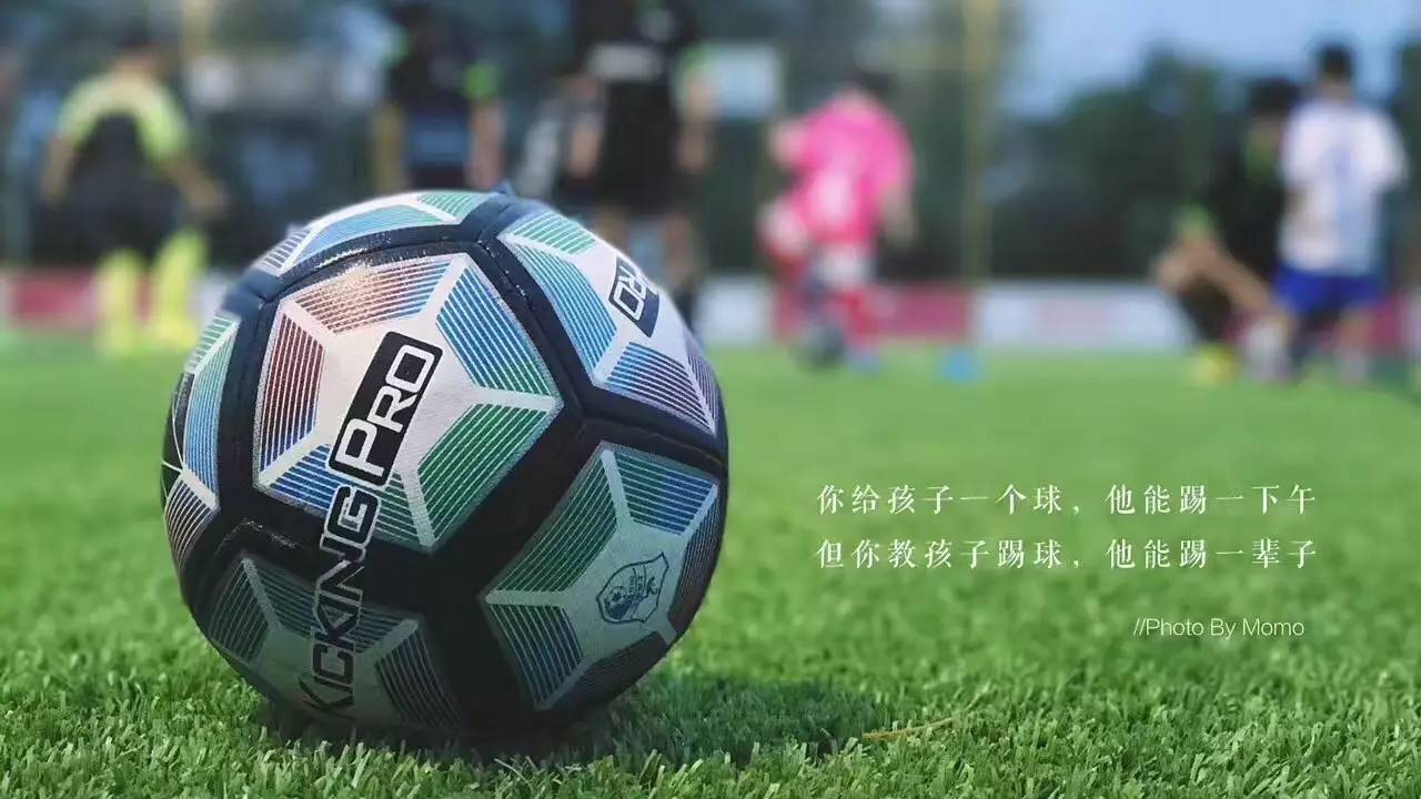 惨败圣保罗30球？看来能拯救中国足球的只有键盘侠了