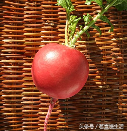 大红萝卜条怎样炒好吃,大红萝卜丝怎么炒好吃