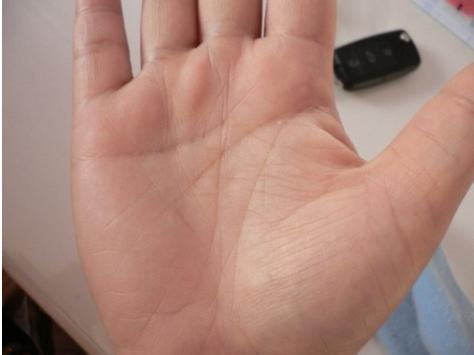 三种手相最好命图片,这三种面相的人未来一定不缺钱