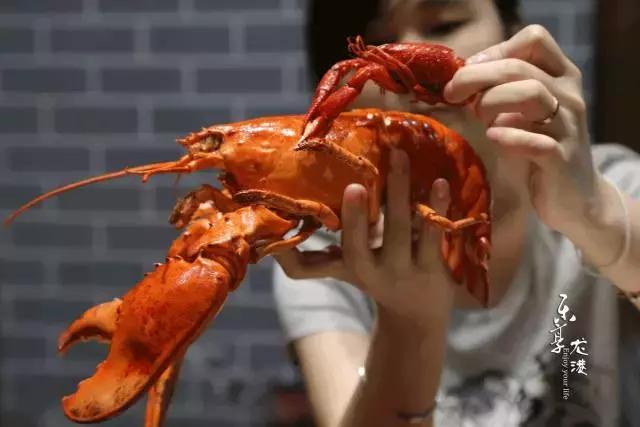 澳洲大龙虾400斤,澳洲大龙虾波士顿龙虾