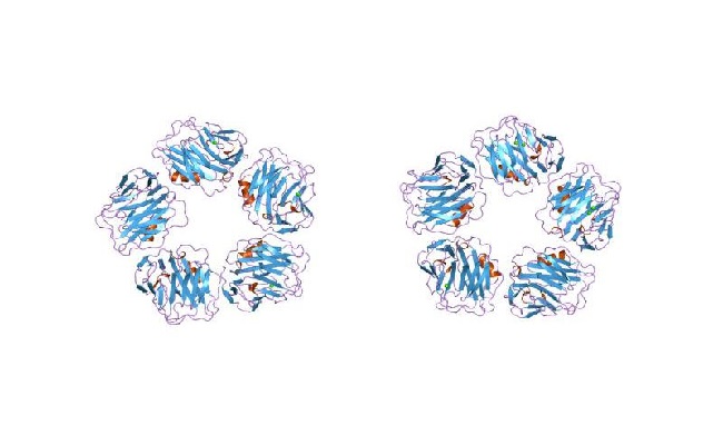血沉和C反应蛋白升高，是不是需要马上注射生物制剂降低炎症？