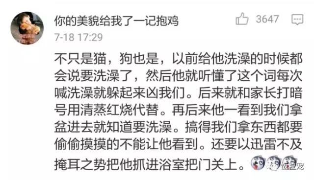 浜戝吇鐚殑鐥涚偣,浜戝吇鐚繃绋嬮亣鍒扮殑闅鹃
