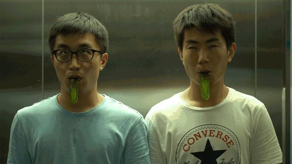 我把整个超市扔进了冷冻室，没想到还挺好吃