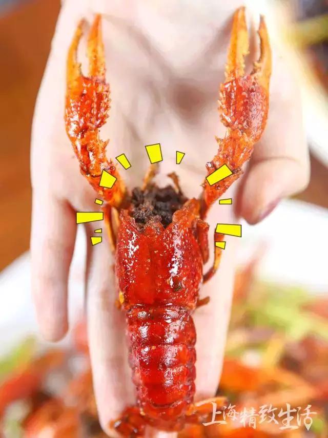 不用等到夏天也可以吃到小龙虾,现在的大闸蟹肉质肥美又爆膏