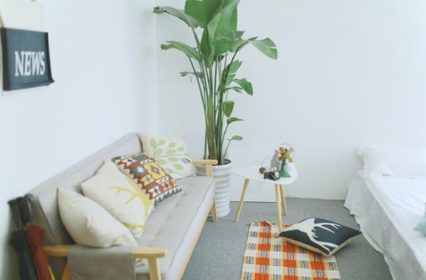 最近很火的最美证件照怎么弄,教你五招get绝美证件照