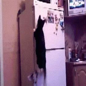 星球大战电影里赛博朋克元素,星球大战光剑电影