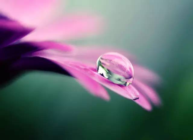 摄影必备三个附件,摄影必备的配件40种