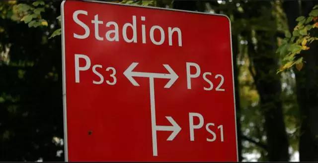 猛虎嗅蔷薇读后感,猛虎嗅蔷薇原文