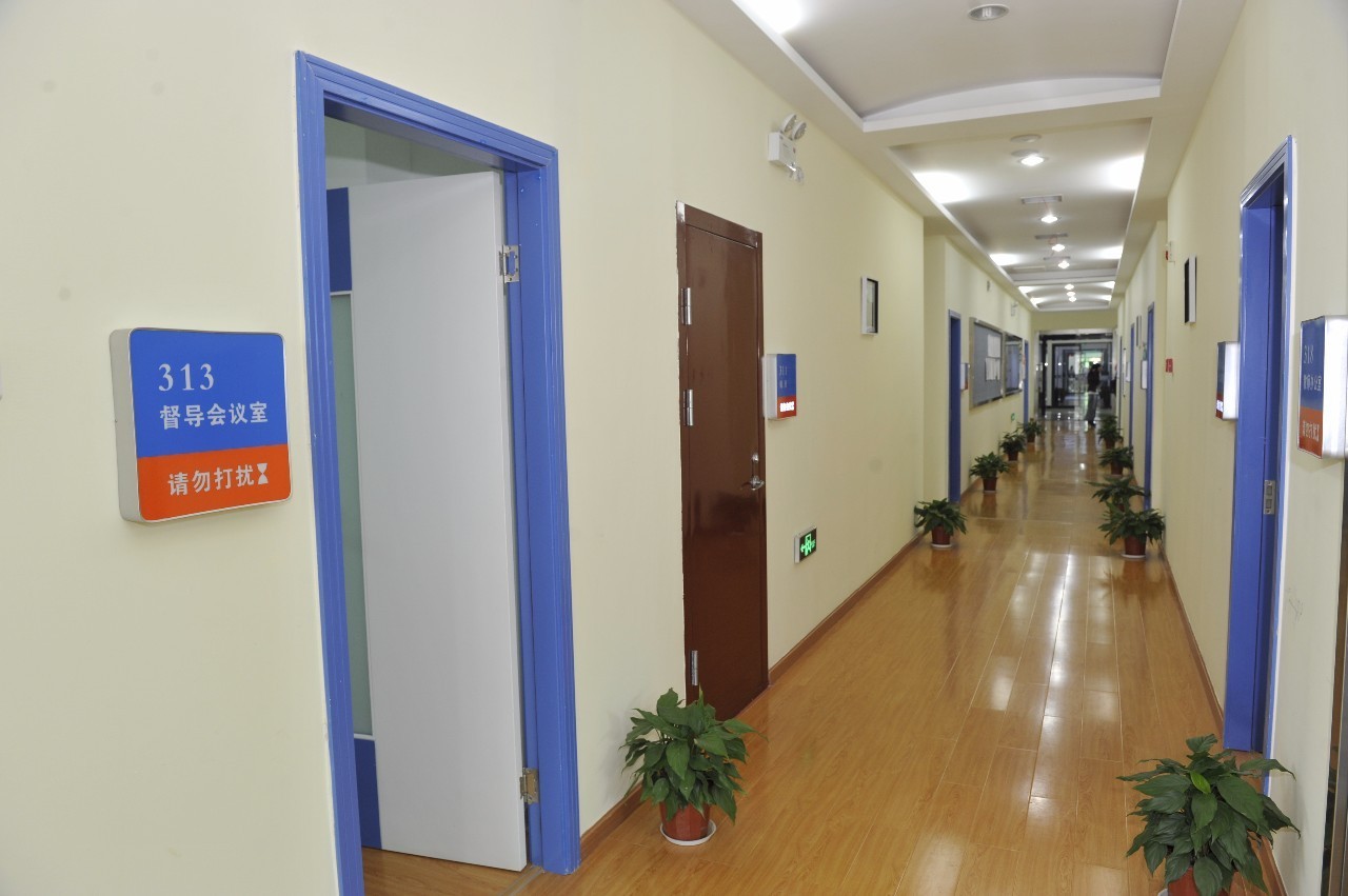 华中师大光谷学校,华中师大