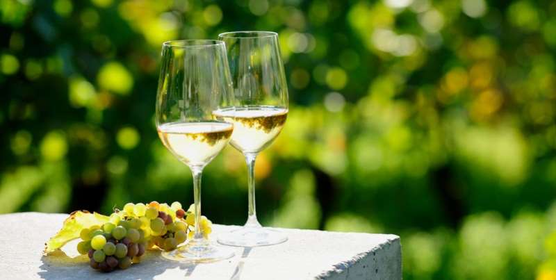 简单快速了解葡萄酒,进一步了解德国葡萄酒