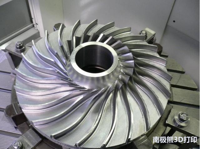 南极熊,南极熊深度解析