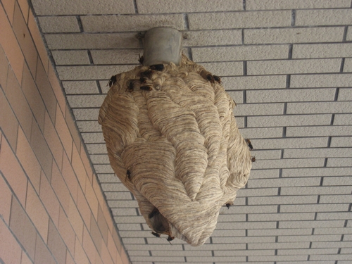 承德新任命一位副市长,同时免去一位副市长职务······7月19日承德新闻速览!